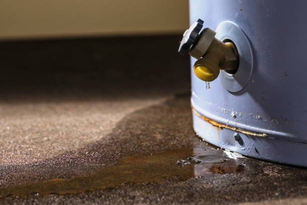 Best Water damage cleanup near me  in Munroe Falls, OH