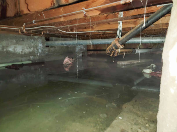 Best Sewage cleanup and water damage restoration  in Munroe Falls, OH