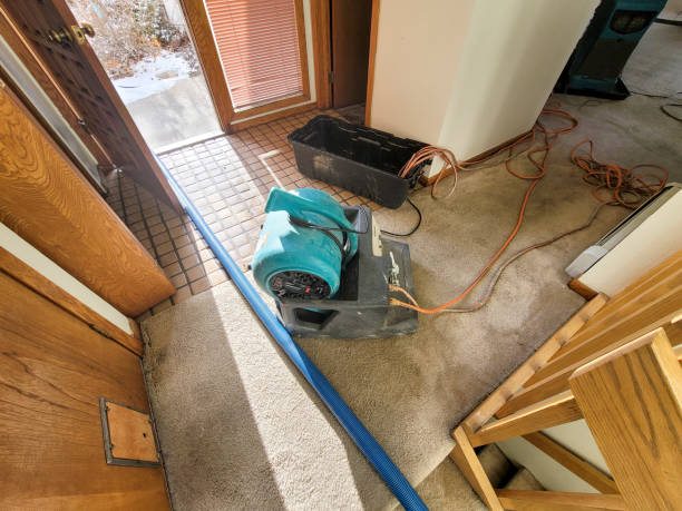 Water damage restoration mold remediation in Munroe Falls, OH