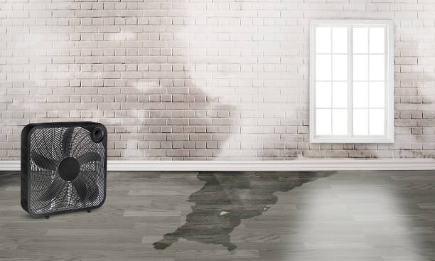 Sewage cleanup and water damage restoration in Munroe Falls, OH