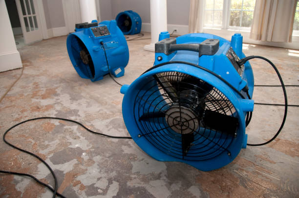 Best Flood restoration services  in Munroe Falls, OH